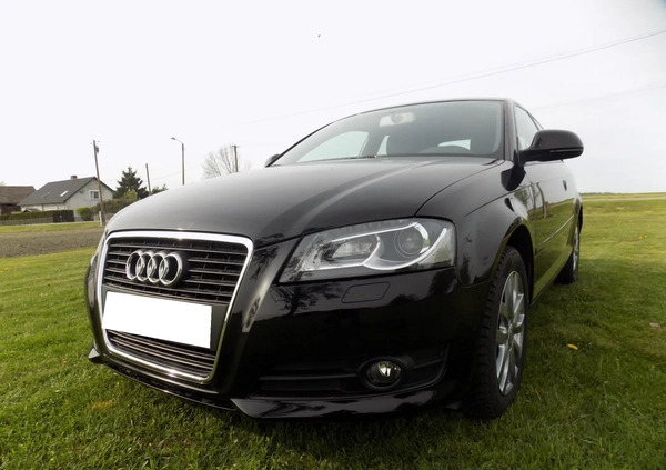 Audi A3 cena 20900 przebieg: 154000, rok produkcji 2009 z Szprotawa małe 497